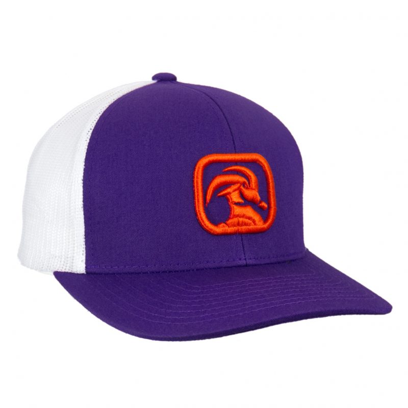 Dabo
